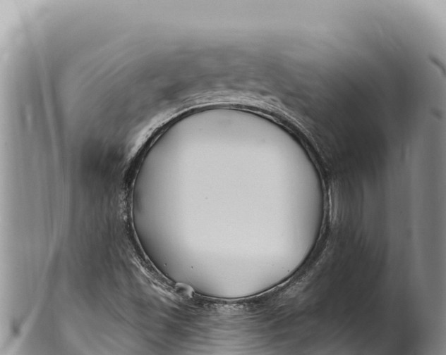 X0000100211501200806201432