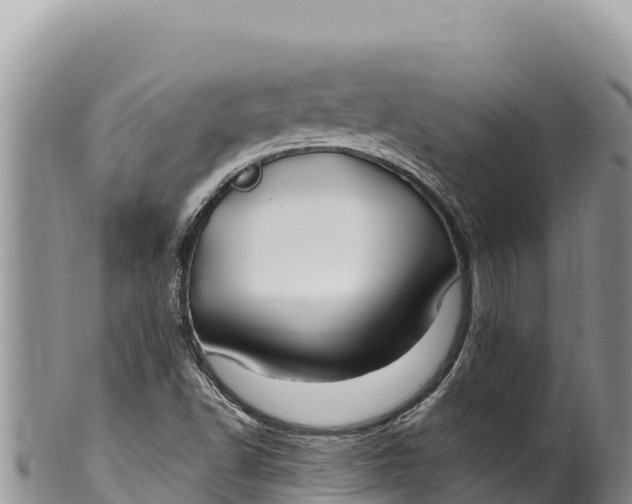 X0000100211502200806201432