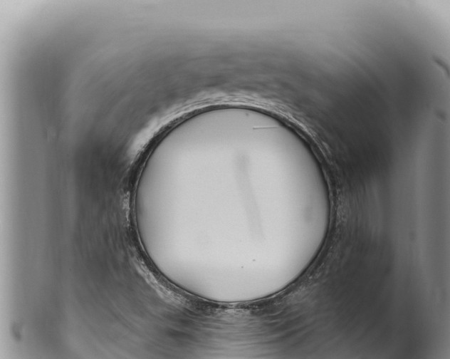 X0000100211503200806201432