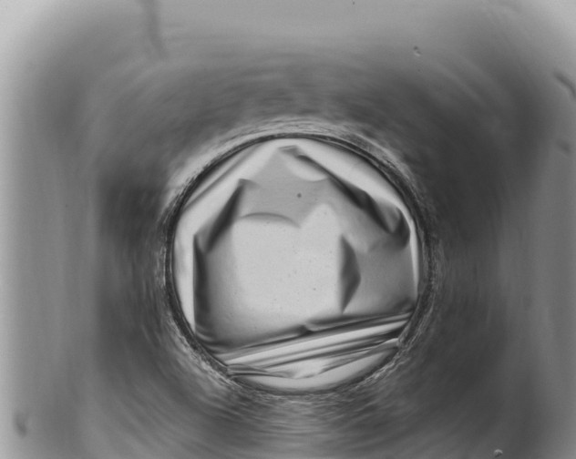 X0000100211504200806201432