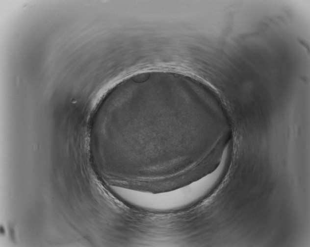 X0000100211506200806201432