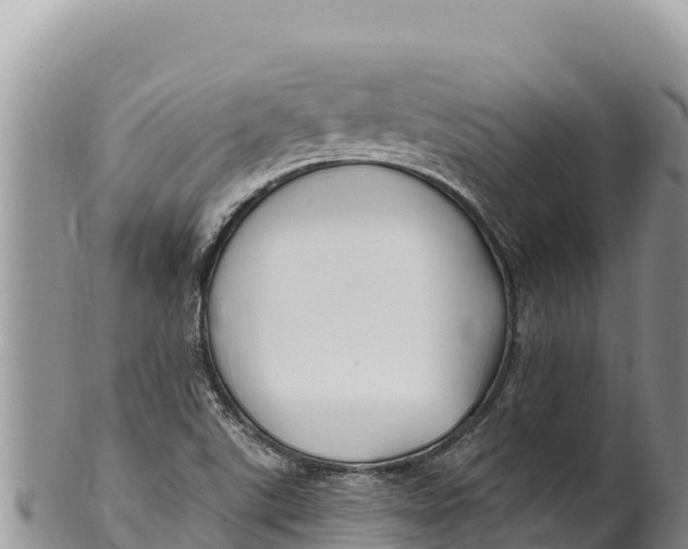 X0000100211507200806201432