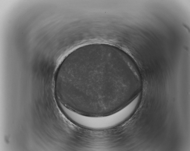 X0000100211508200806201432