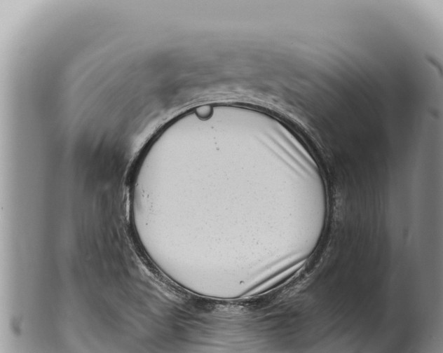 X0000100211509200806201432