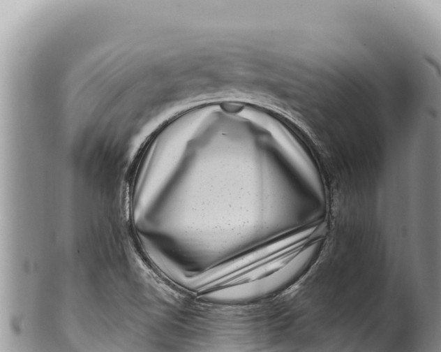 X0000100211510200806201432