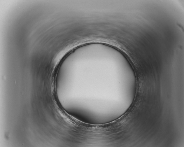 X0000100211511200806201432