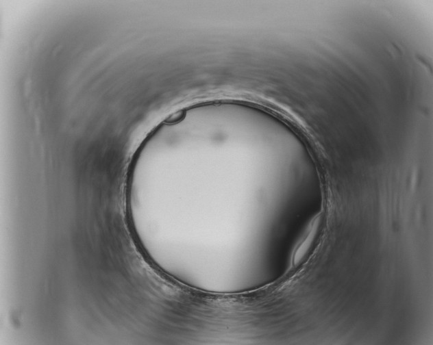 X0000100211512200806201433