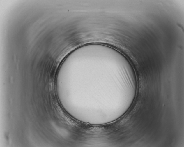 X0000100211513200806201433