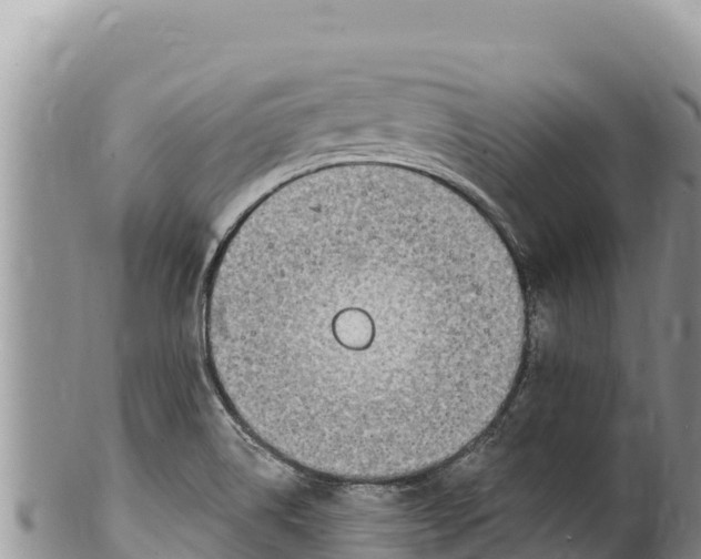 X0000100211514200806201433