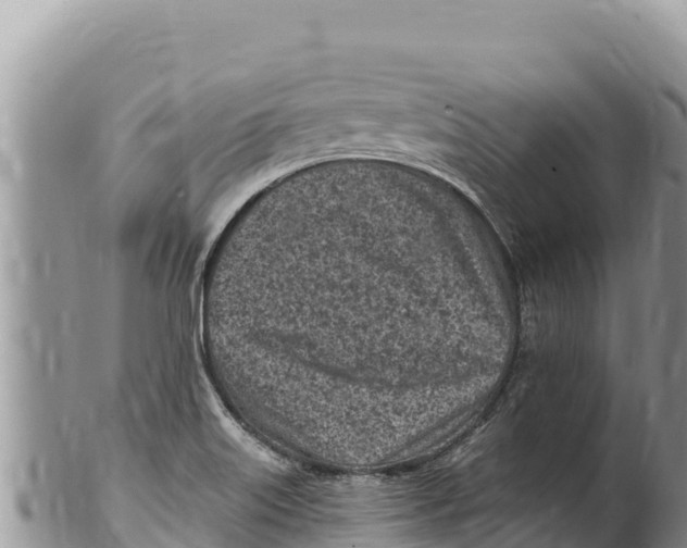 X0000100211515200806201433