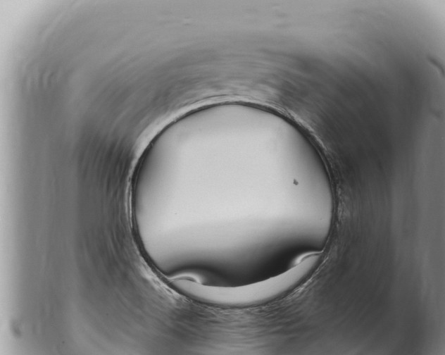 X0000100211516200806201433