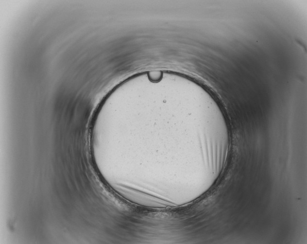 X0000100211517200806201433