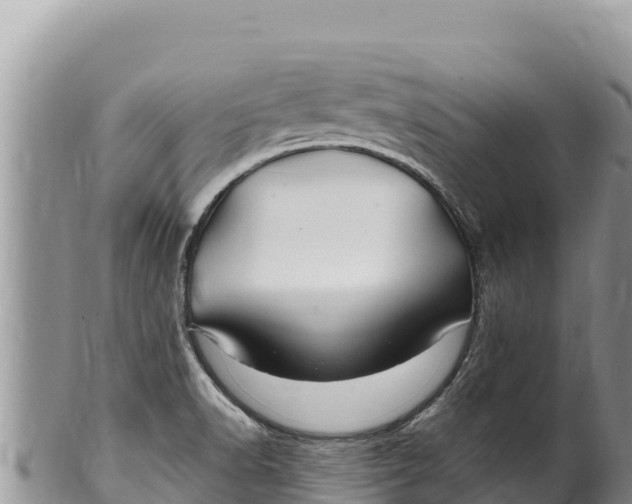 X0000100211518200806201433