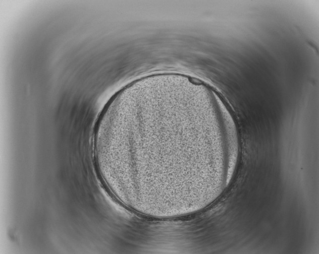 X0000100211519200806201433