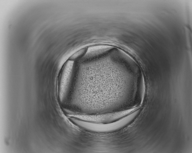 X0000100211520200806201433