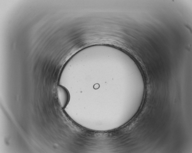 X0000100211521200806201433