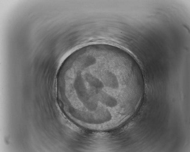 X0000100211522200806201433