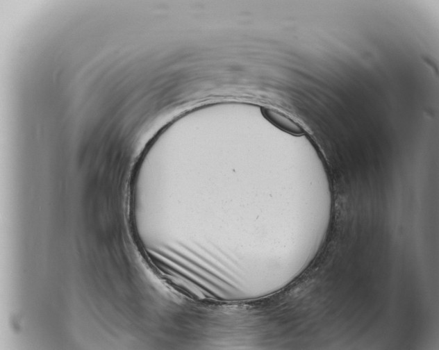 X0000100211523200806201433