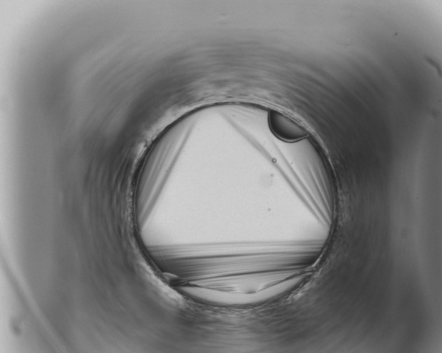 X0000100211525200806201433