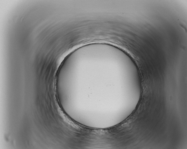 X0000100211526200806201433