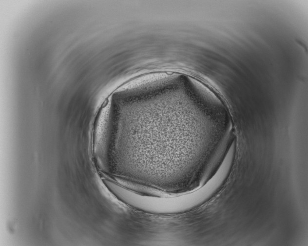 X0000100211528200806201433