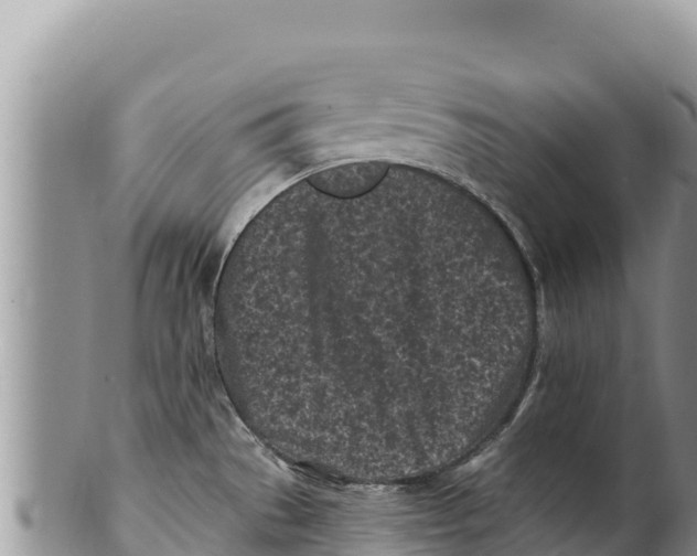 X0000100211529200806201433