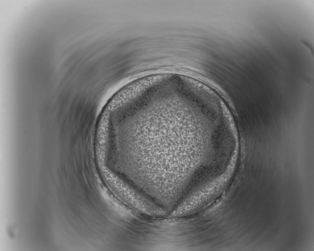 X0000100211530200806201433