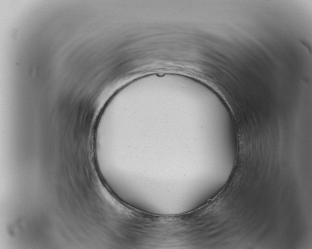 X0000100211531200806201433