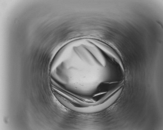 X0000100211532200806201433