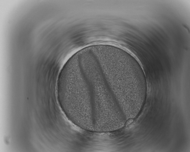 X0000100211533200806201433