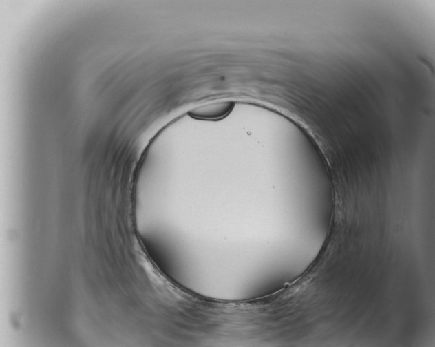 X0000100211534200806201433