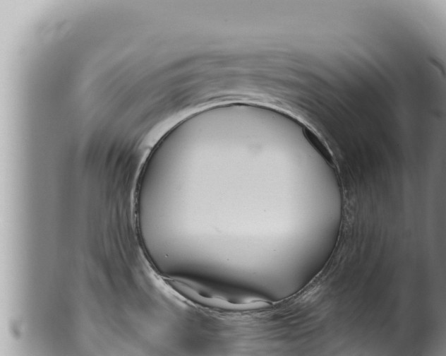 X0000100211535200806201433