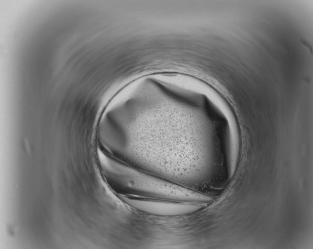 X0000100211536200806201433