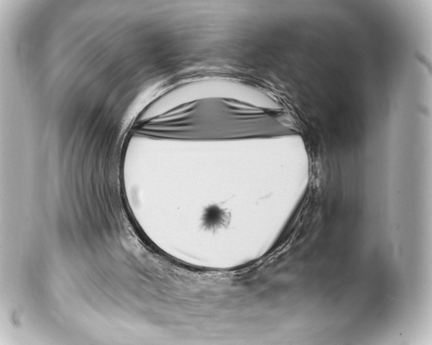X0000100210004200806271714