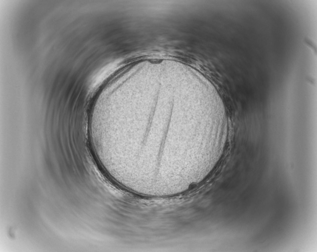 X0000100210005200806271714