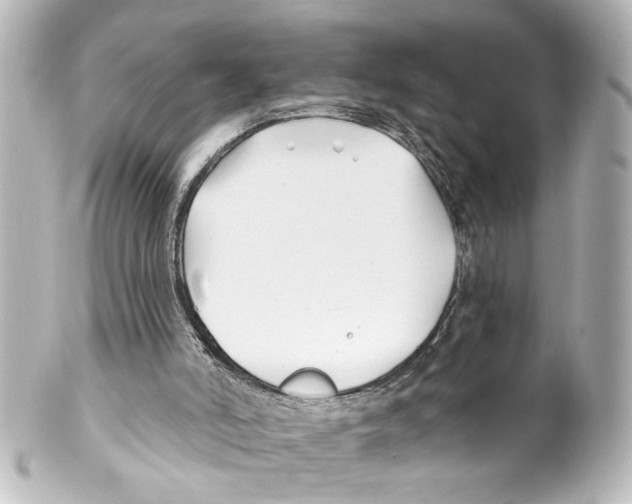 X0000100210006200806271714
