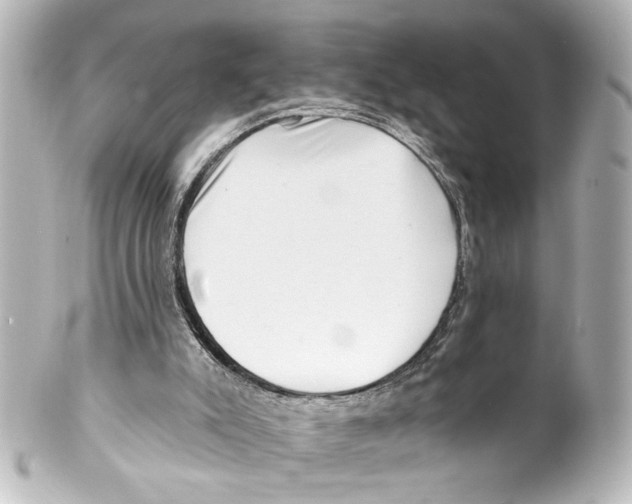 X0000100210007200806271714