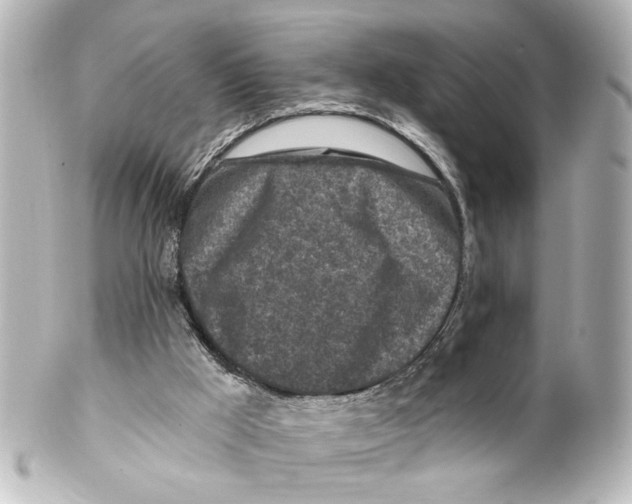 X0000100210009200806271714
