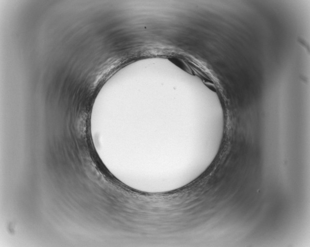 X0000100210010200806271714