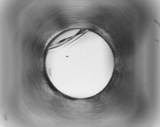 X0000100210012200806271714