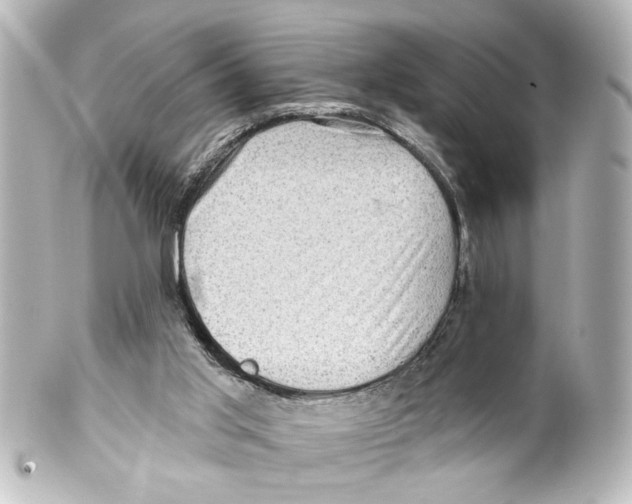 X0000100210013200806271714