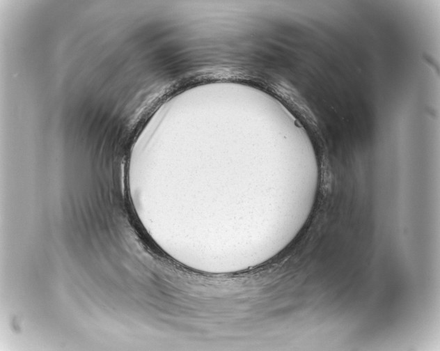 X0000100210014200806271714