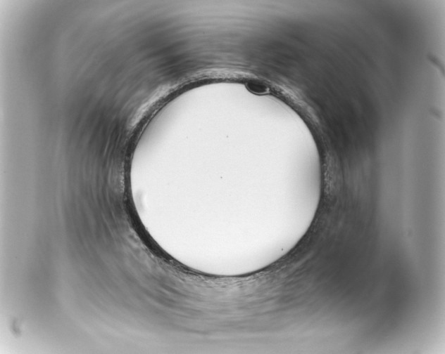 X0000100210015200806271714