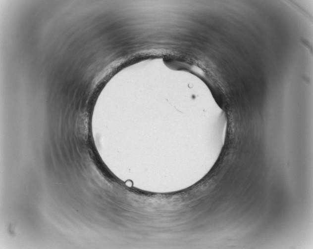 X0000100210016200806271714