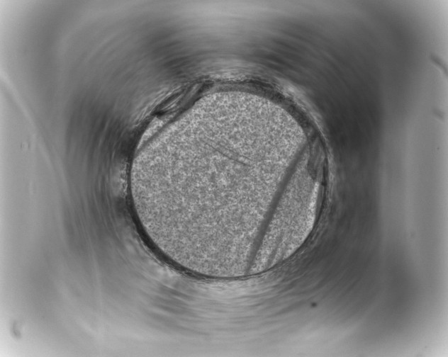 X0000100210017200806271714