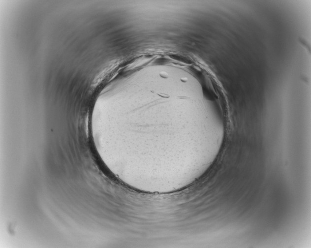 X0000100210019200806271714