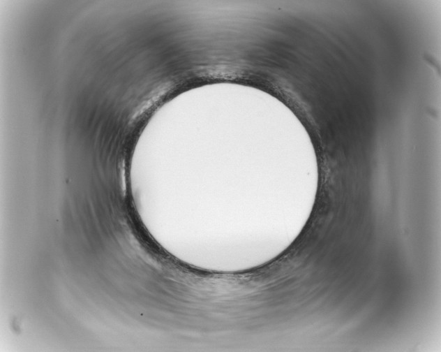 X0000100210020200806271714