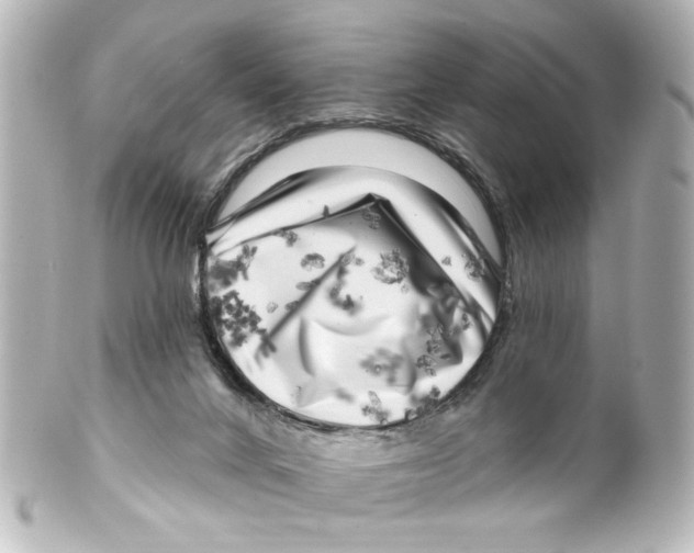 X0000100210024200806271714