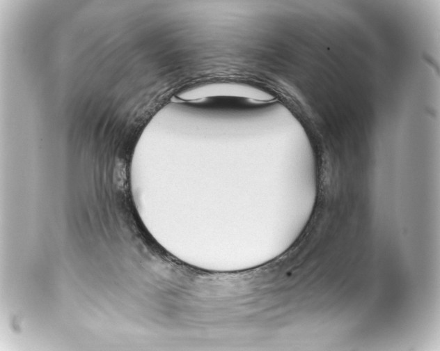 X0000100210025200806271714