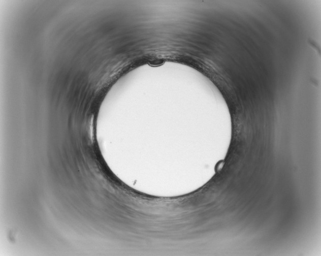 X0000100210028200806271714